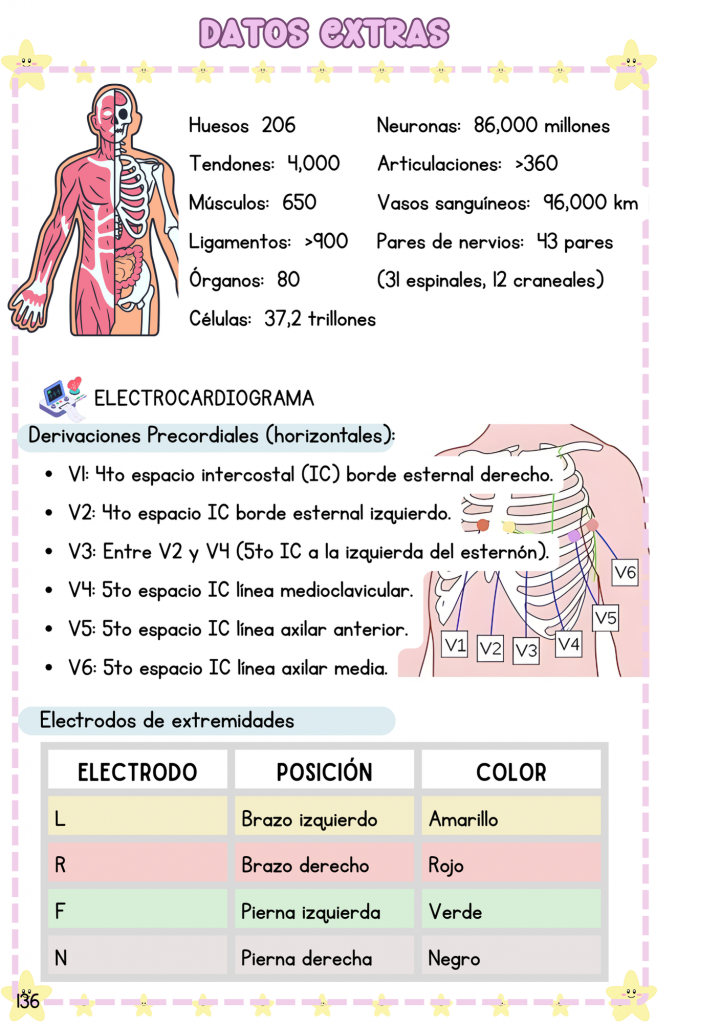 Datos TCAE