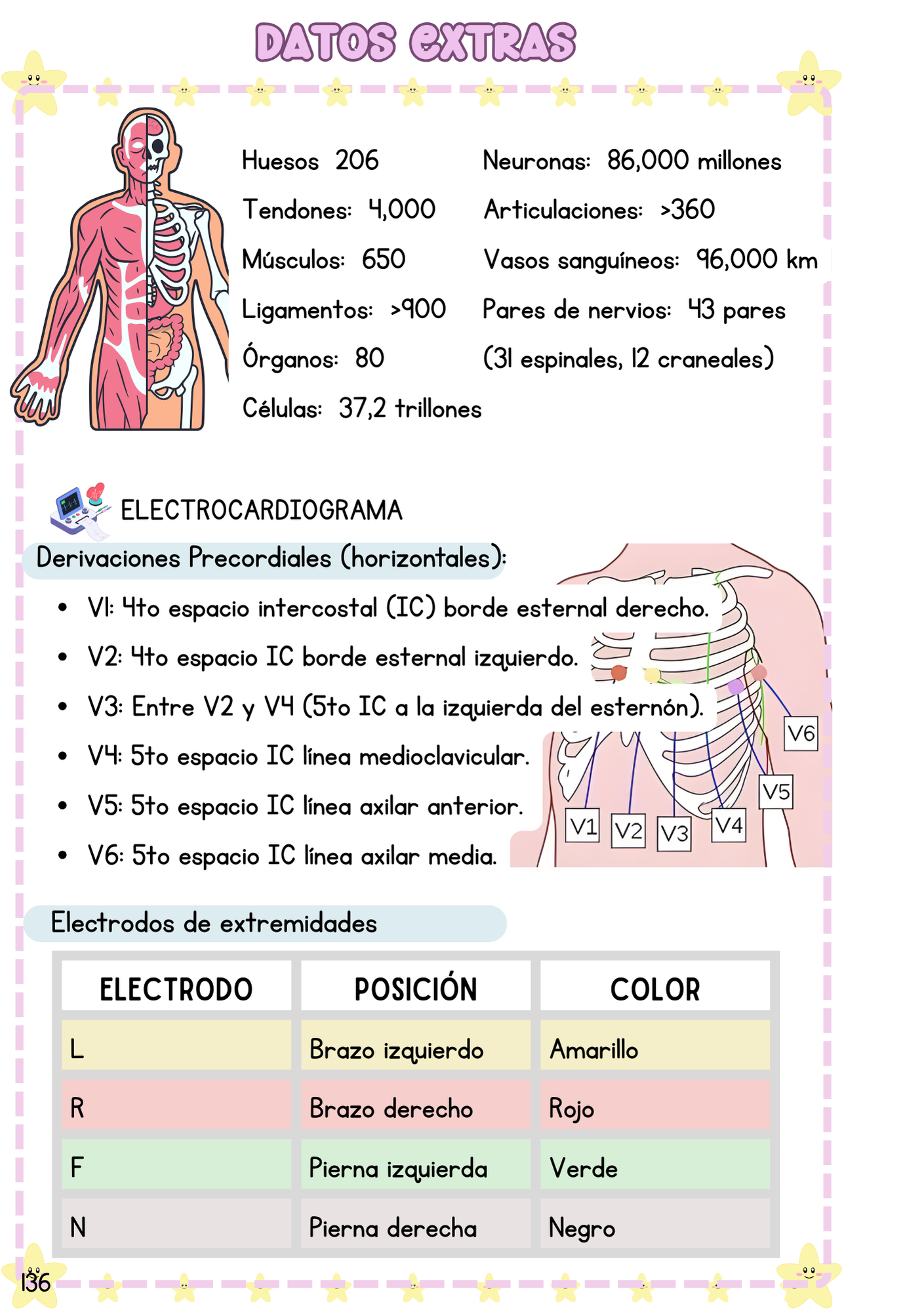 Datos TCAE - Imagen 8