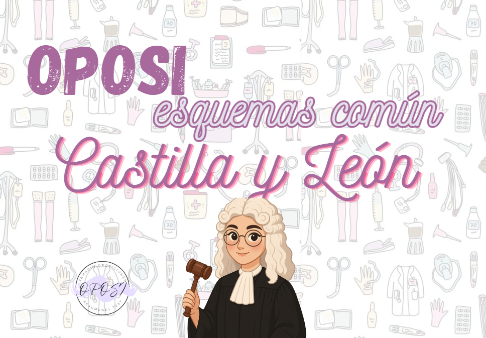 Oposi esquemas leyes Castilla y León - Imagen 2