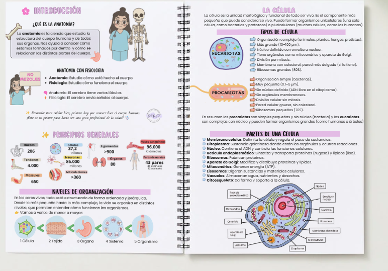 El cuerpo humano para opositores A4 - Imagen 4