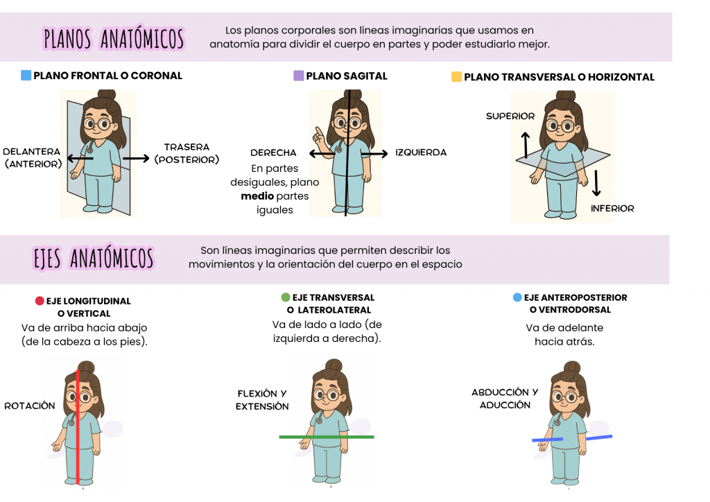Esquemas TCAE universal