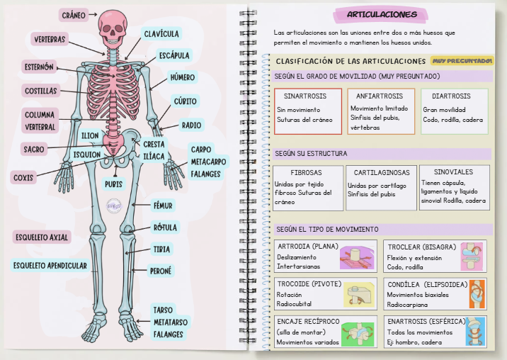 ANTITEMARIO TCAE VOL. II - Imagen 4