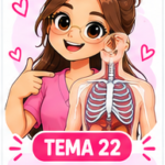 Tema 22 – El cuerpo humano y sus sistemas | TCAE PDF